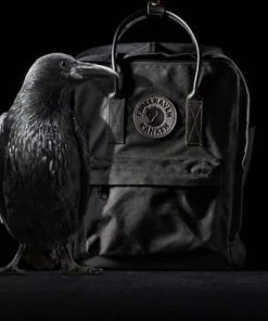 Goedkoopste ???? Fjallraven Fjällräven Kånken No. 2 Black Mini Unisex Rugzak - Black ⭐ -Herschel Shop 550x385 2
