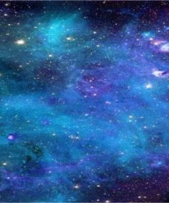 Herschel Shop -Herschel Shop 550x393 7