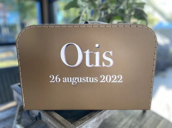 Goedkoop ???? Merkloos Koffertje Karton Bruin Maat L Met Eigen Opdruk - Met Naam ⭐ 4 Goedkoop ???? Merkloos Koffertje Karton Bruin Maat L Met Eigen Opdruk - Met Naam ⭐ - Afbeelding 2
